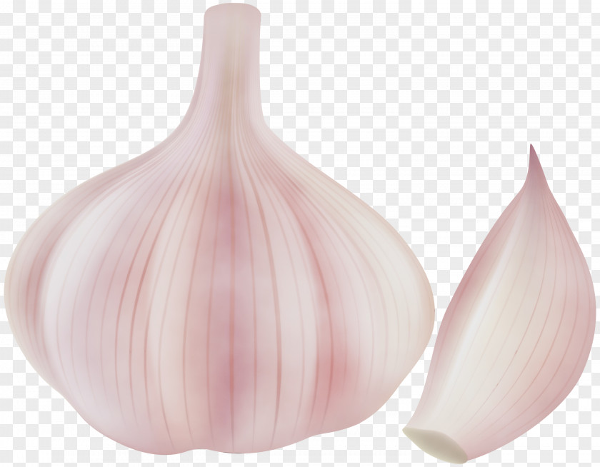 Food Allium Shallot Garlic Onion Vegetable Elephant PNG