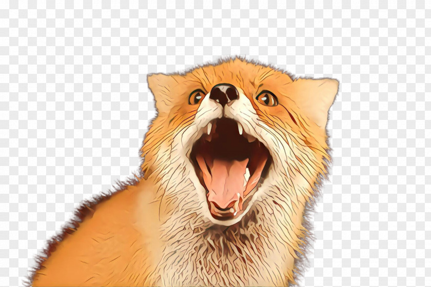 Roar Facial Expression Snout Yawn Nose PNG