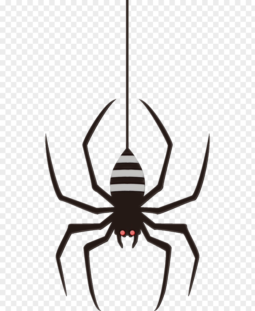 Scorpion Pest Spider Insect Arachnid Line PNG
