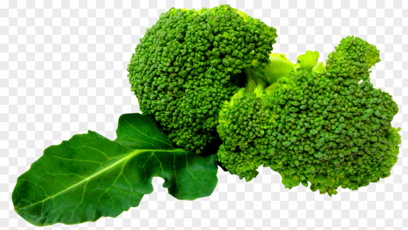 Broccoli Clip Art Cruciferous Vegetables PNG