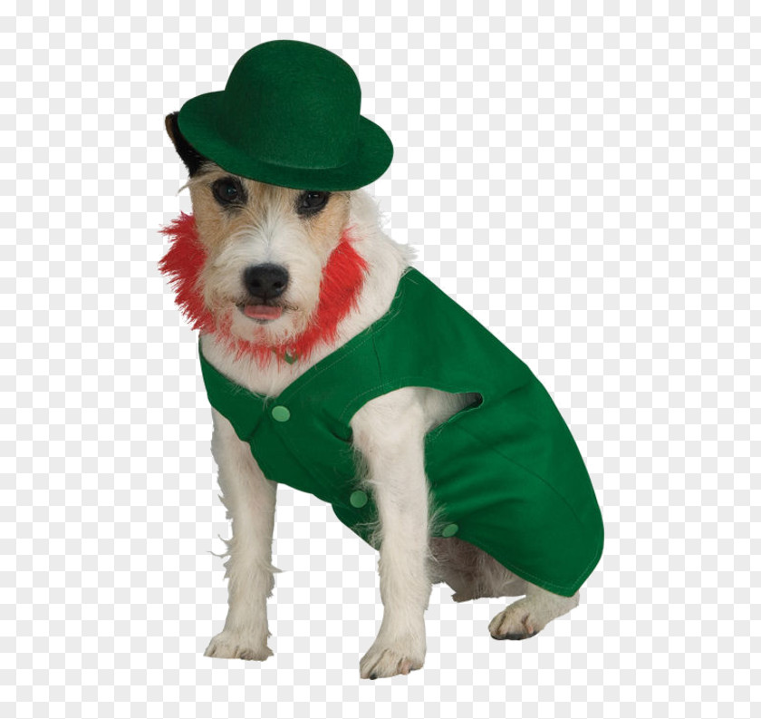 Dog Leprechaun Halloween Costume Saint Patrick's Day PNG