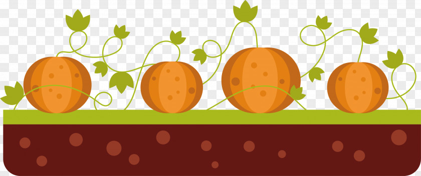 Field Of Pumpkin Calabaza Vegetable Clip Art PNG