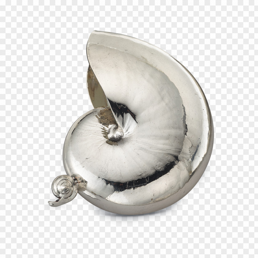 Jewellery Buccellati Silver Seashell Nautilidae PNG