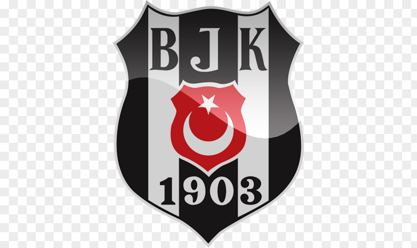 Basketball BJK Akatlar Arena Beşiktaş J.K. Football Team Vodafone PNG