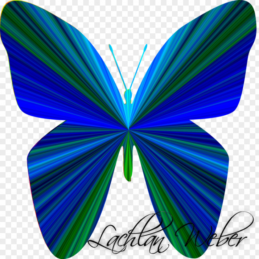Digital Creative Swallowtail Butterfly Papilio Blumei Machaon Amazon.com PNG