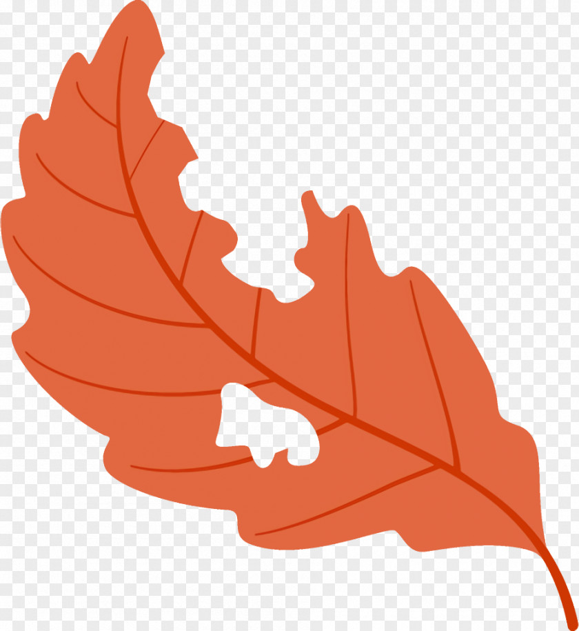 Maple Leaf Deciduous Worm-eaten Fallen Dead PNG