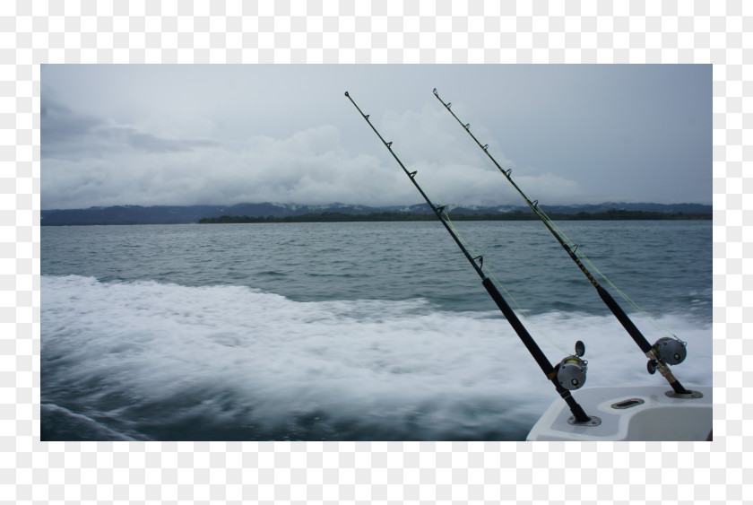 Sea Casting Shore Recreational Fishing Rods PNG