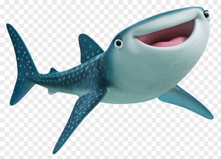 Sharks Marlin Pixar Casting Character Film PNG