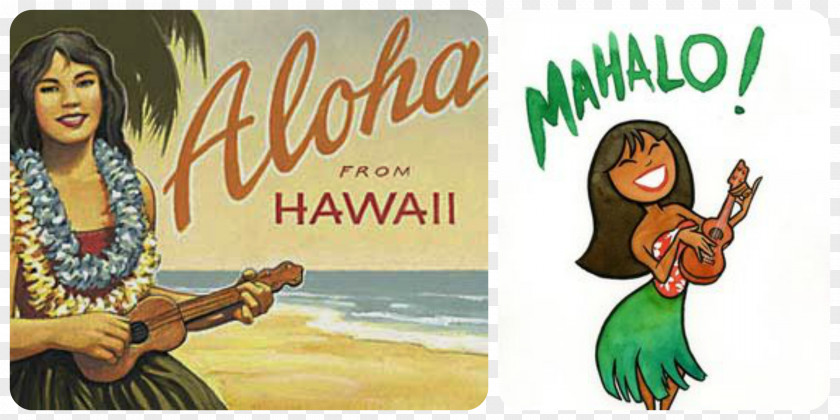 Aloha Hawaii Hawaiian Hula Art PNG