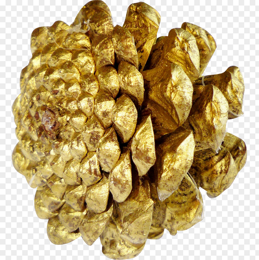 Gold Gum Arabic PNG