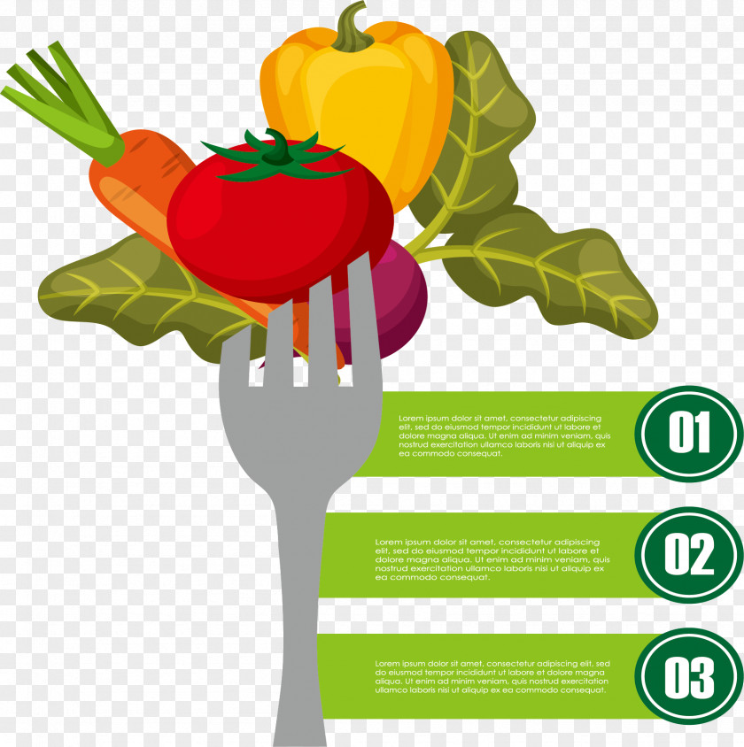 Vegetable Salad Step Map Infographic Illustration PNG