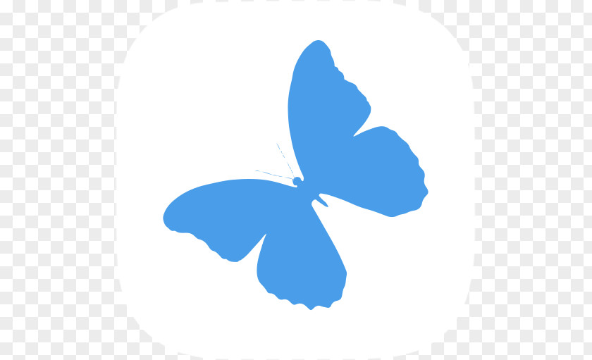 Blue Technology Butterfly Effect Asterope Papilio Ulysses PNG
