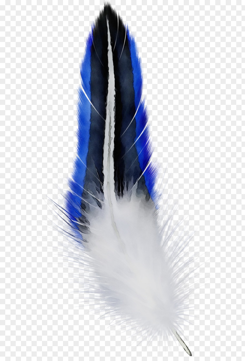 Cobalt Blue Feather PNG