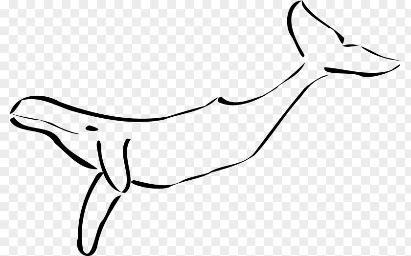 Dolphin Tail Cetacea Humpback Whale Black And White Giant Panda Clip Art PNG