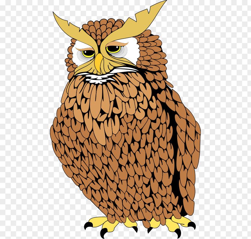Owl Download Clip Art PNG