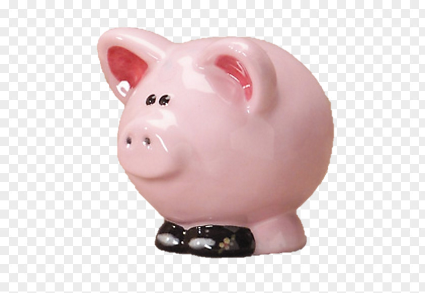 Pig Piggy Bank Snout Fun Collectable PNG
