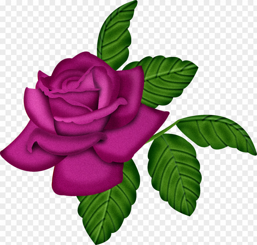 Rose Tenor Desktop Wallpaper Name Giphy PNG