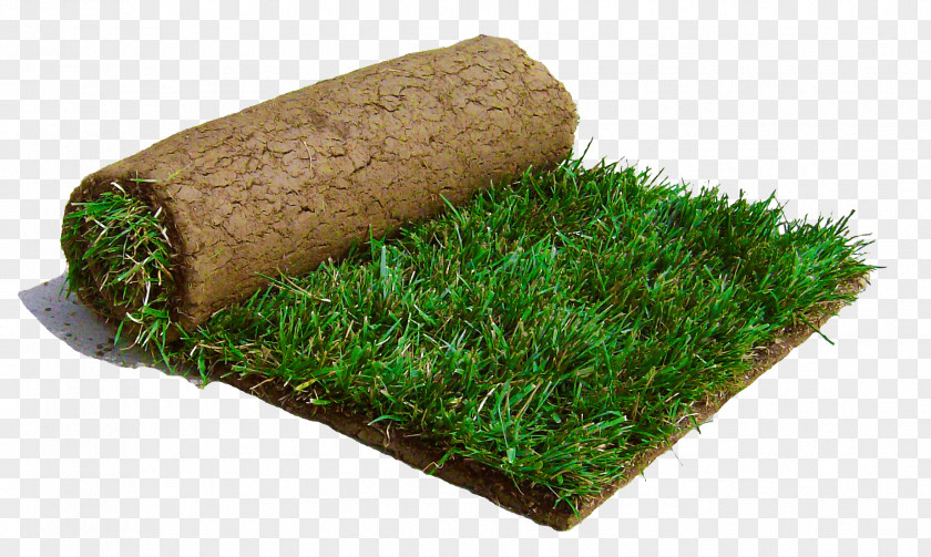 SOIL Tall Fescue Central Sod Farms Lawngrass PNG