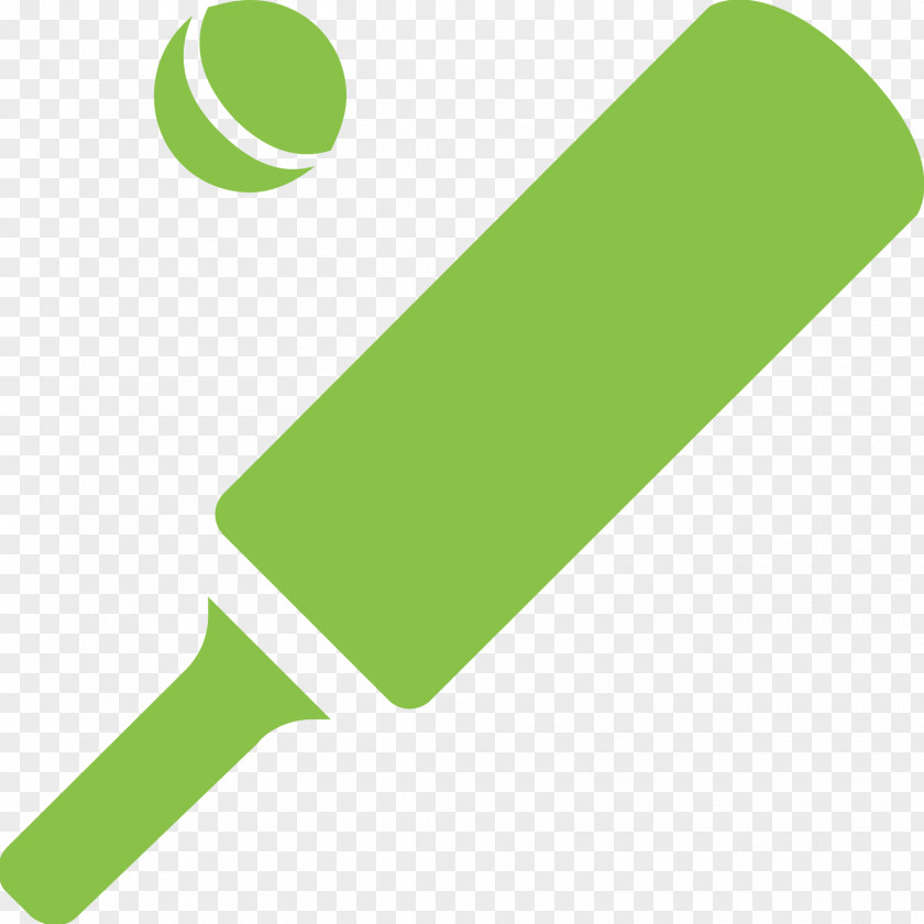 Cricket Brisbane Heat Queensland Team Bats PNG