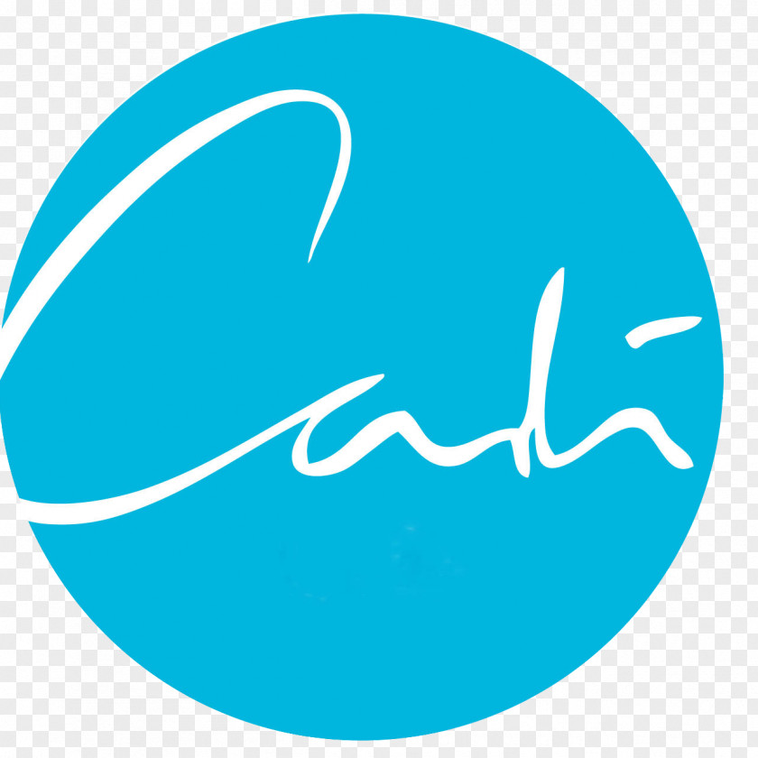 Design Canva Logo Graphic PNG