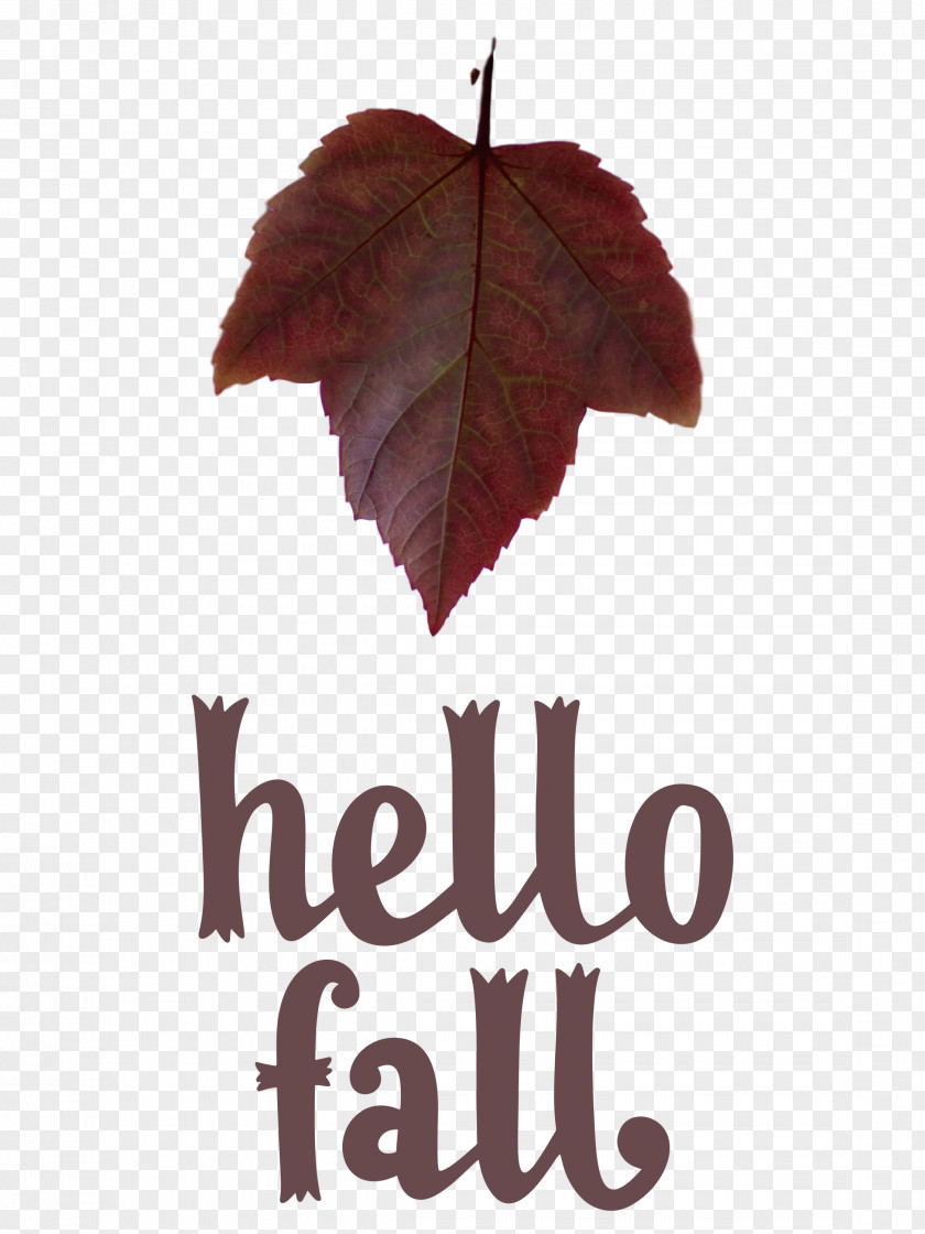 Hello Fall Fall Autumn PNG