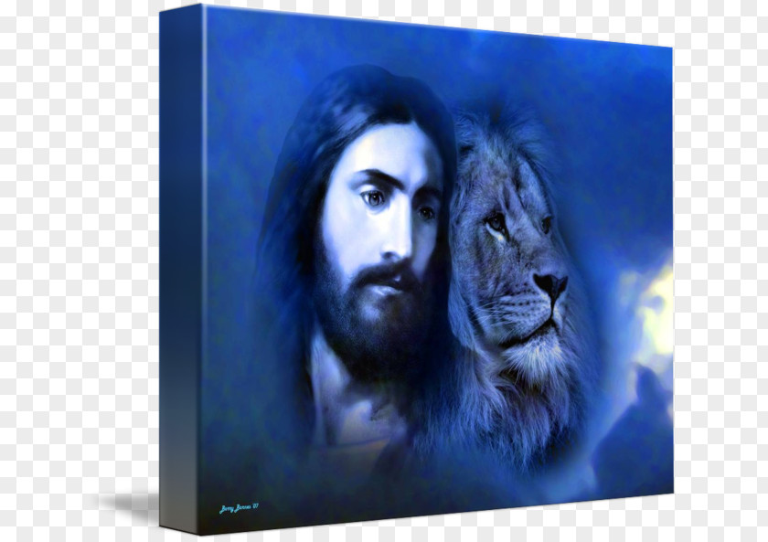 Lion Of Judah Jesus Tribe PNG