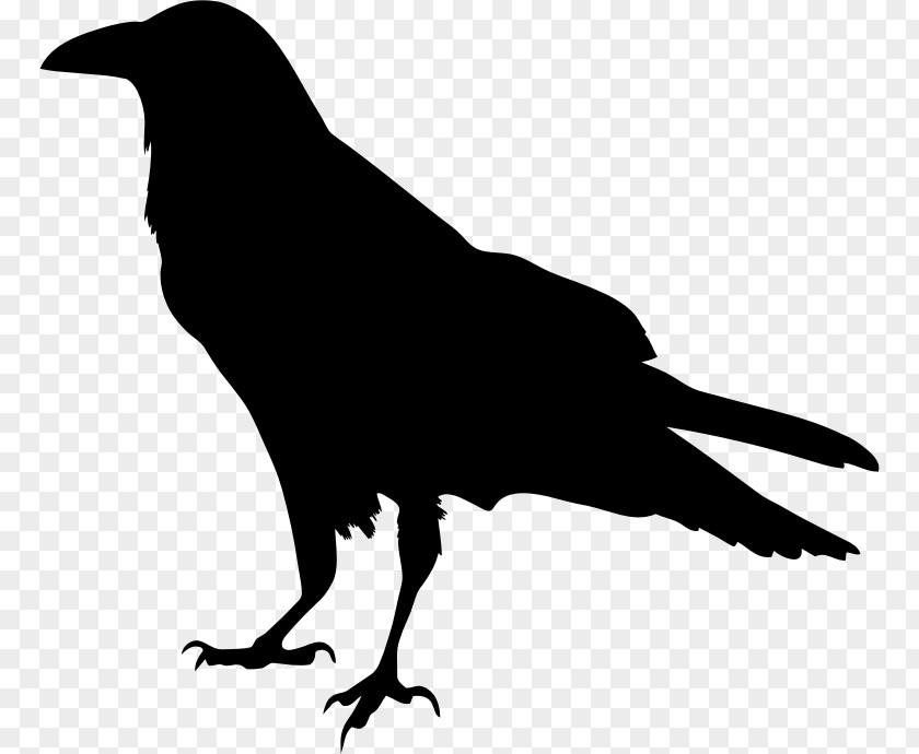 The Raven Silhouette Drawing Clip Art PNG