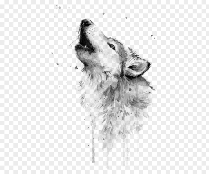 Watercolor Fox Painting Gray Wolf Art Drawing PNG