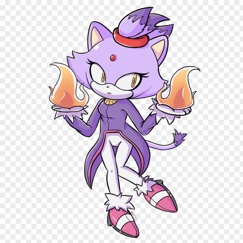 Blaze The Cat Art Drawing PNG