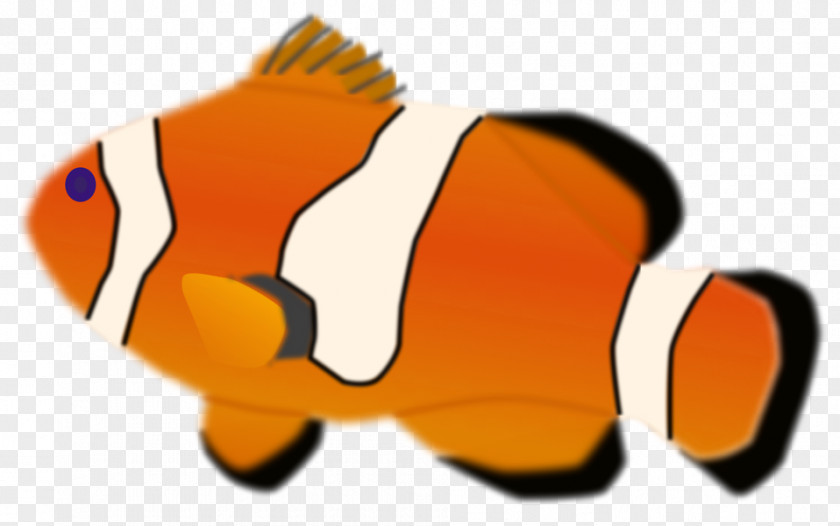Fish Illustrations Clownfish Drawing Clip Art PNG