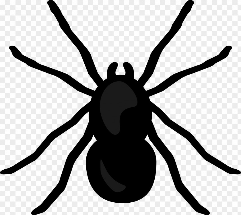 Hurricane Spider Desktop Wallpaper Clip Art PNG