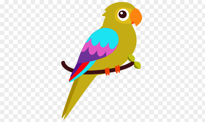 Cartoon Bird Budgerigar Parrot PNG