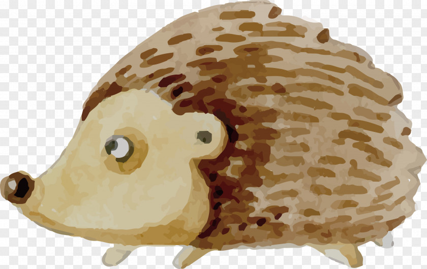 Cartoon Hedgehog Design Taiyaki Snout Erinaceidae Carnivora PNG