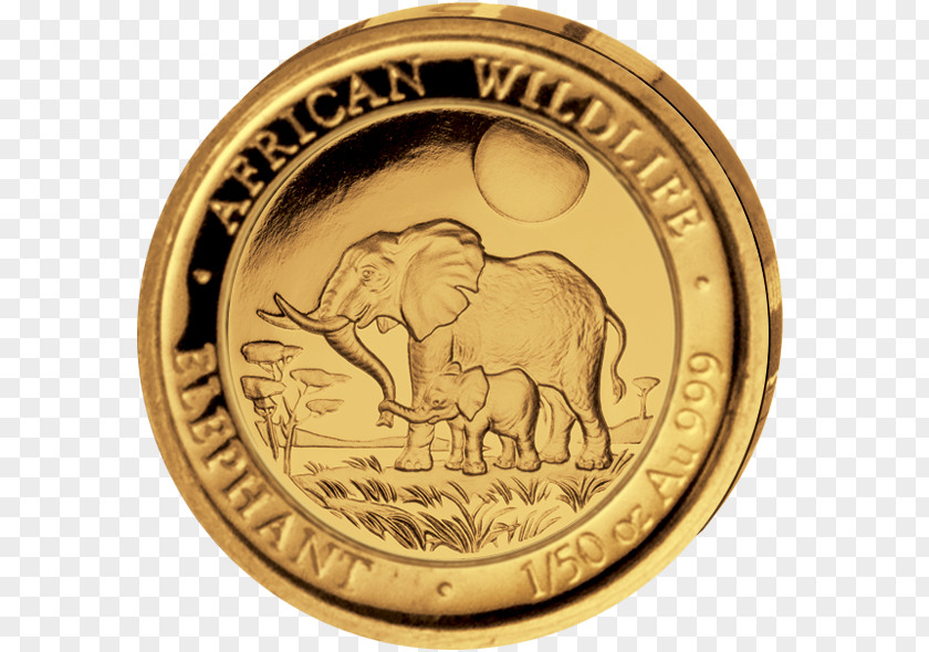 Coin Gold Ounce Elephantidae PNG