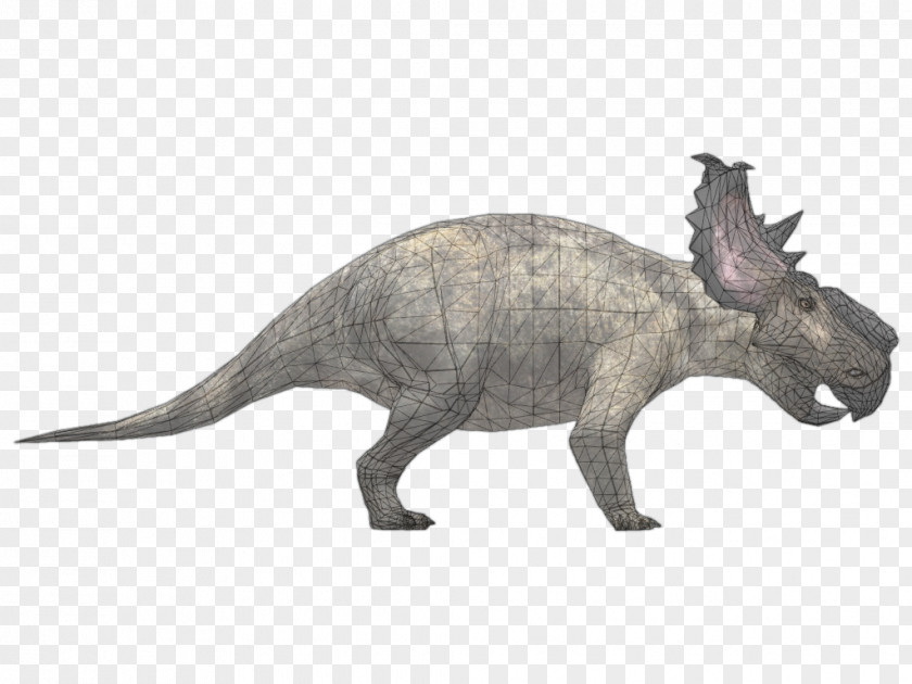 Dinosaur Pachyrhinosaurus Tyrannosaurus Albertosaurus Zoo Tycoon 2 Sauria PNG