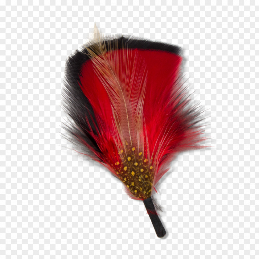 Feather Goorin Bros. Red Hat Black PNG