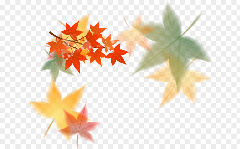 Modern Vector Autumn Leaves Background Material Free Dig Euclidean Maple Leaf PNG