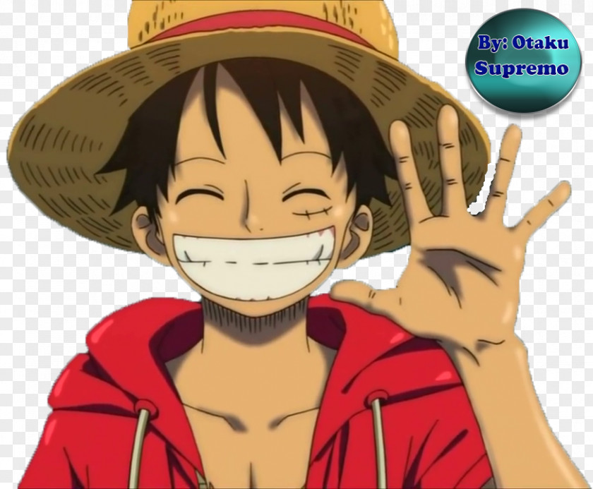 One Piece Monkey D. Luffy Roronoa Zoro Portgas Ace Vinsmoke Sanji Nami PNG