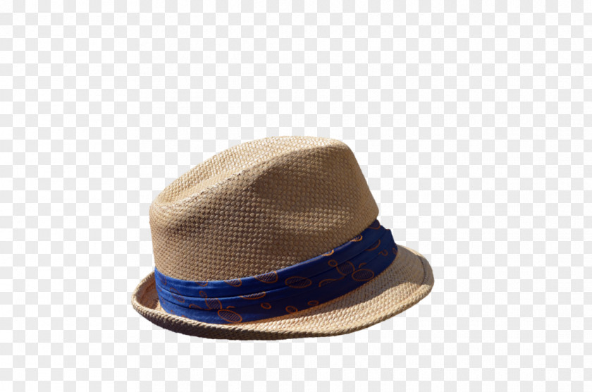 With A Blue Hat Headgear Fedora Cap Brown PNG