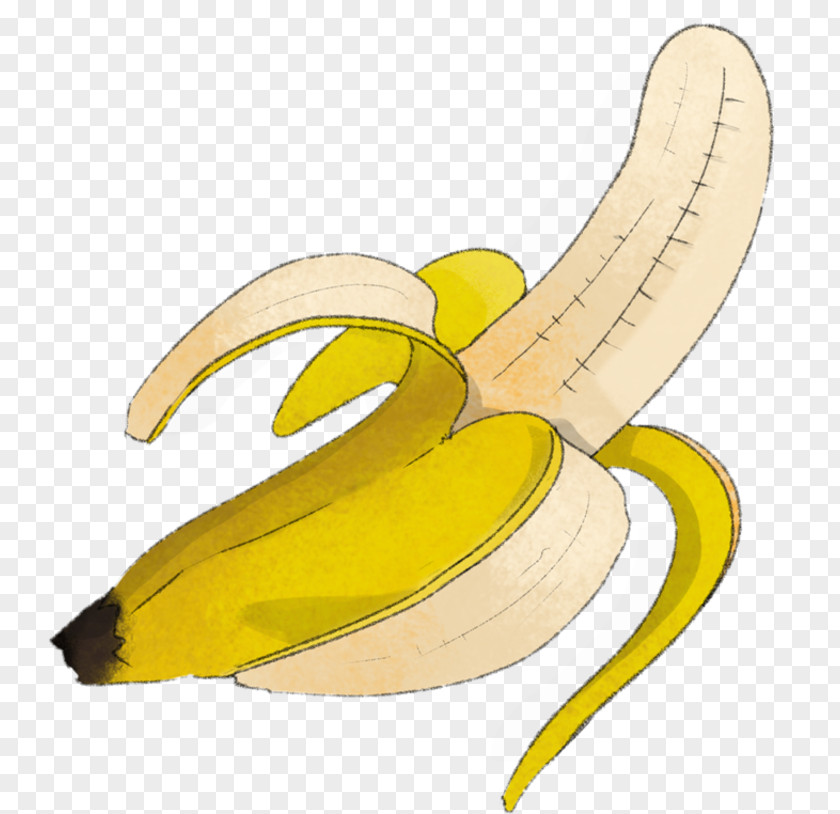Brot Clipart Banana Breakfast Musa × Paradisiaca Dinner Nutrition PNG