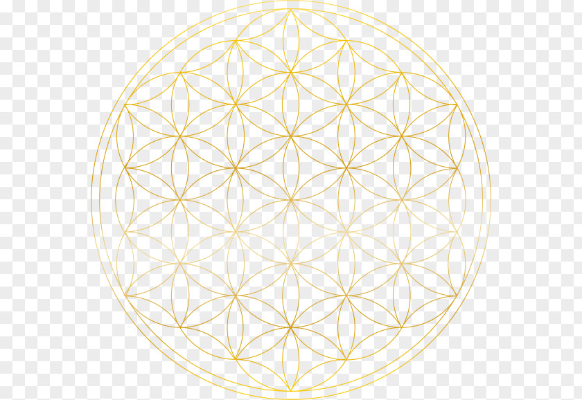 Circle Symmetry Point Pattern PNG