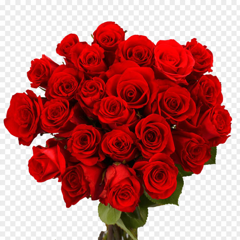 Red Roses Stock Photography Rose Heart Flower Valentine's Day PNG