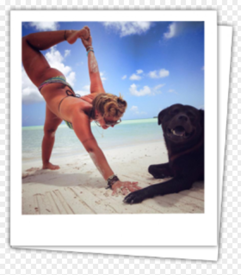 Yoga & Pilates Mats Physical Fitness Vacation PNG