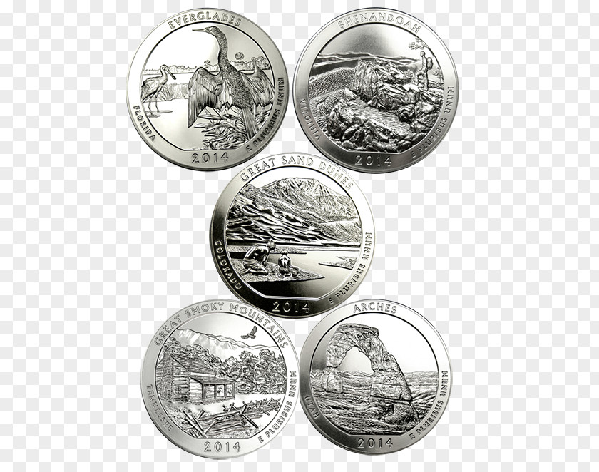 Coin Silver American Eagle Set PNG