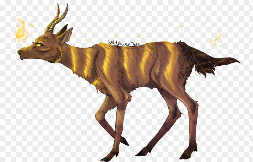 Goat Cattle Antelope Elk Wildlife PNG