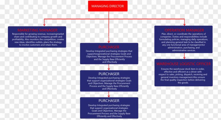 Organization Chart Organizational Service Advertising PNG