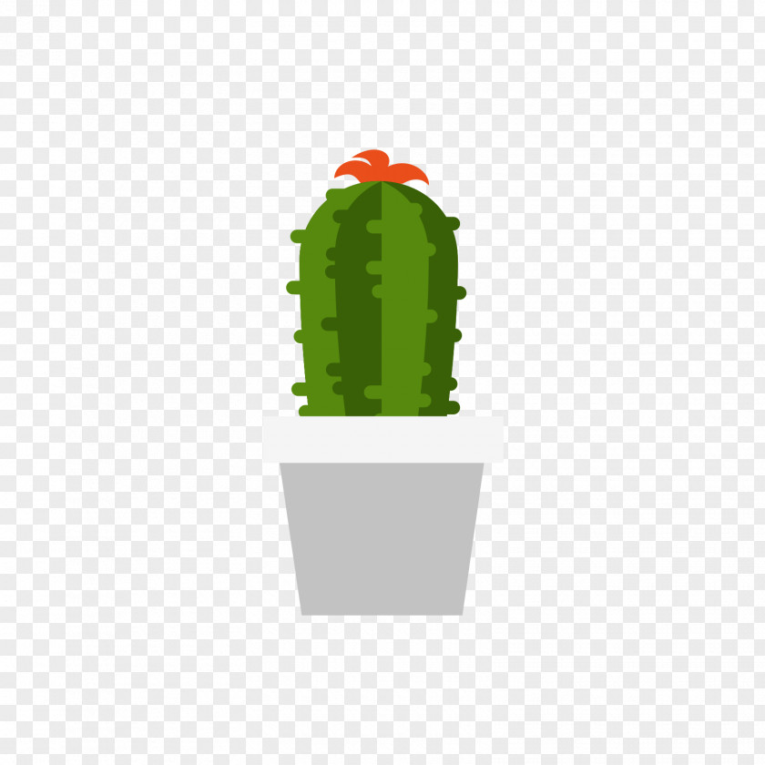 A Pot Of Cactus Cactaceae Plant PNG