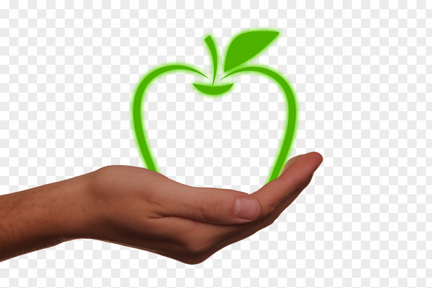 Apple Energy Natural Environment Health Macintosh PNG