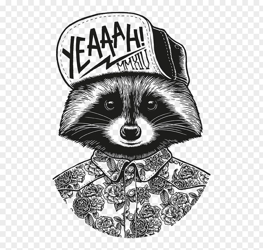 Cartoon Raccoon Studio Drawing Graphic Design Illustration PNG