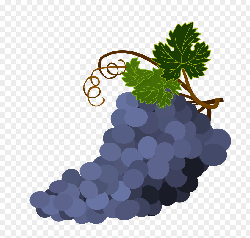Wine Common Grape Vine Fruit Salad Sultana PNG